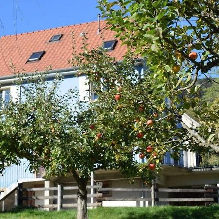 Les Locations De Stephanie ,Gite Le Verger Sondernach Luaran gambar