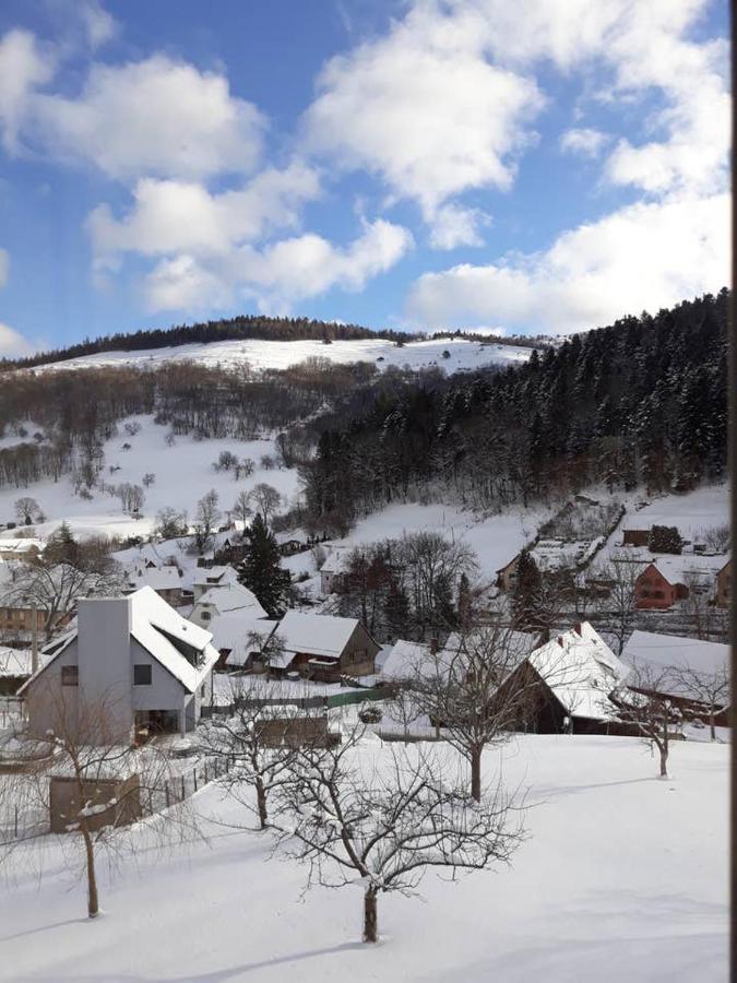 Les Locations De Stephanie ,Gite Le Verger Sondernach Luaran gambar