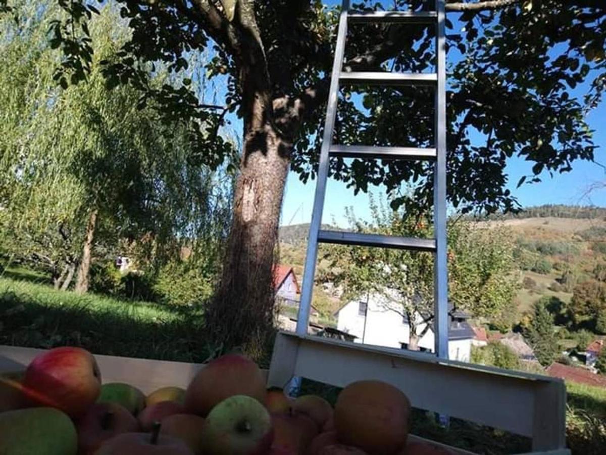 Les Locations De Stephanie ,Gite Le Verger Sondernach Luaran gambar
