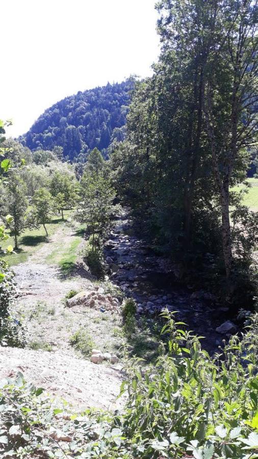 Les Locations De Stephanie ,Gite Le Verger Sondernach Luaran gambar