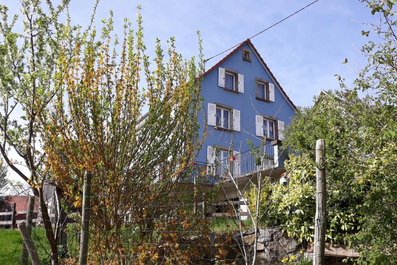 Les Locations De Stephanie ,Gite Le Verger Sondernach Luaran gambar