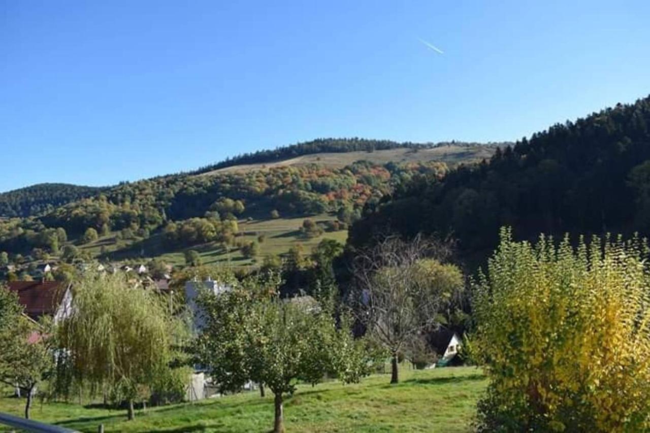 Les Locations De Stephanie ,Gite Le Verger Sondernach Luaran gambar