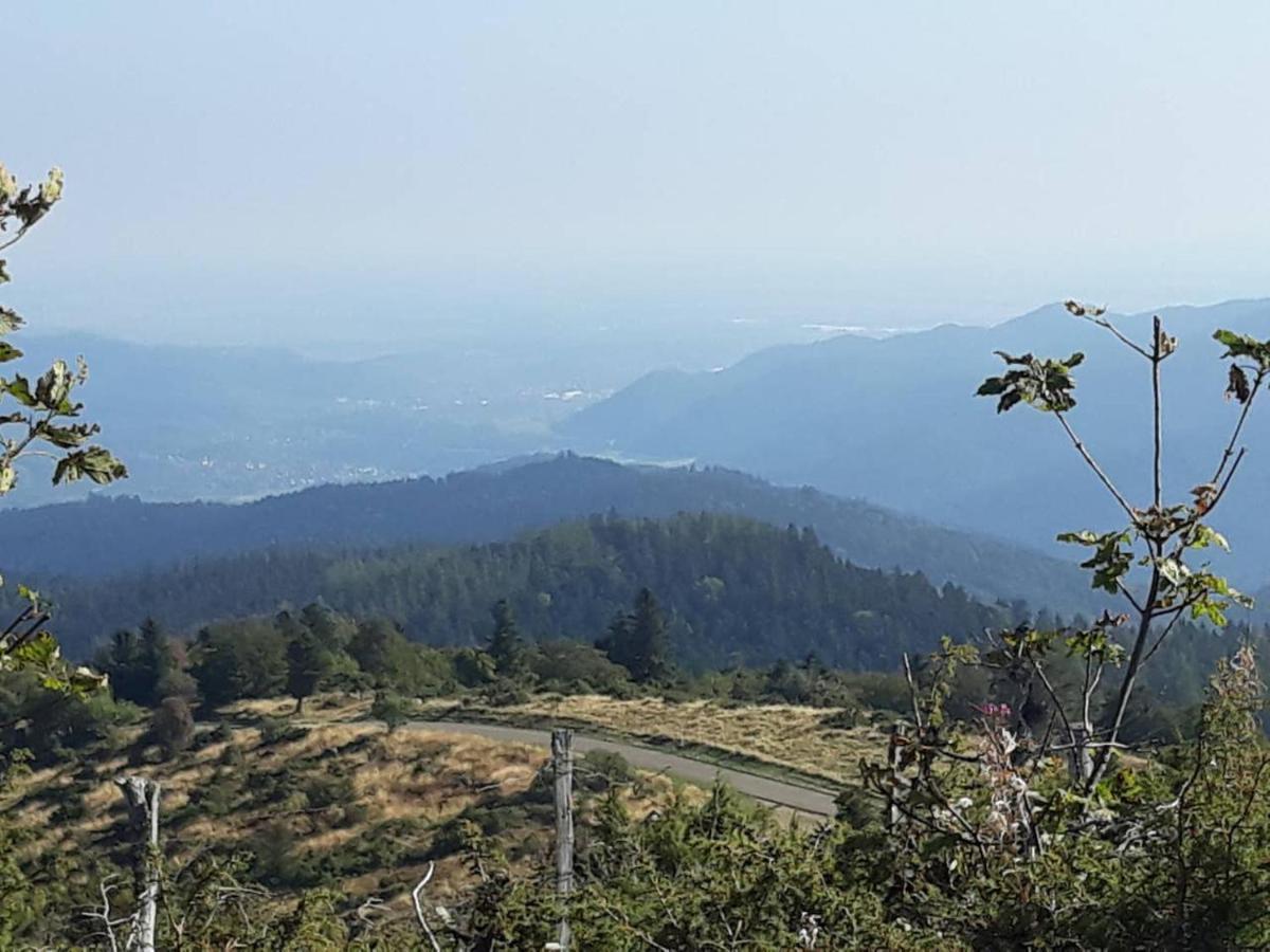 Les Locations De Stephanie ,Gite Le Verger Sondernach Luaran gambar