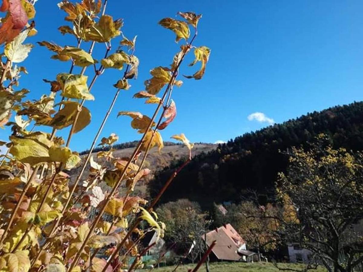Les Locations De Stephanie ,Gite Le Verger Sondernach Luaran gambar