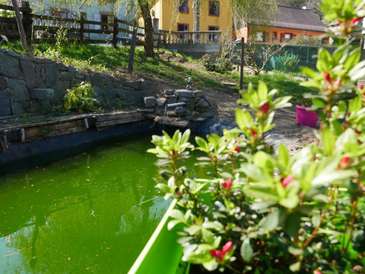 Les Locations De Stephanie ,Gite Le Verger Sondernach Luaran gambar