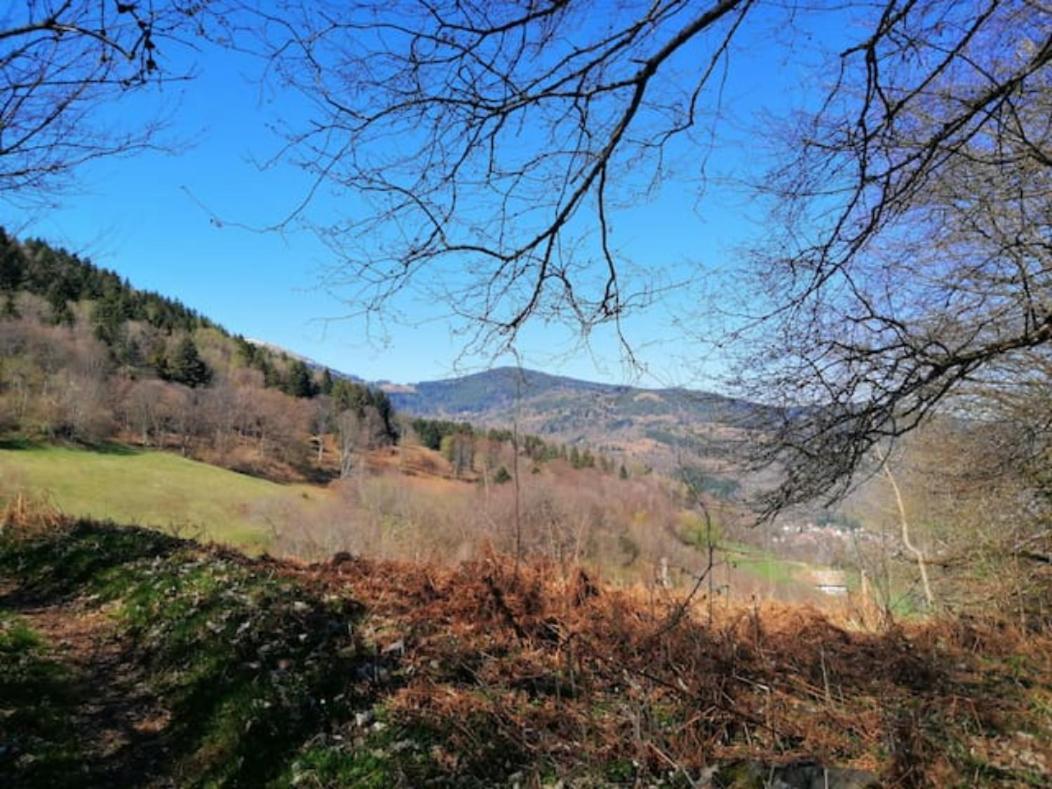 Les Locations De Stephanie ,Gite Le Verger Sondernach Luaran gambar