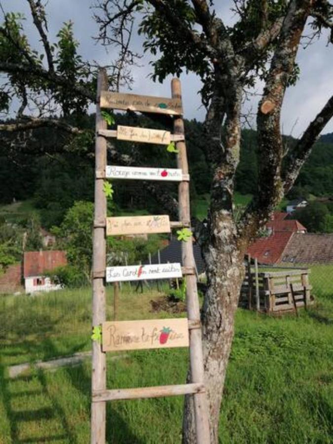 Les Locations De Stephanie ,Gite Le Verger Sondernach Luaran gambar