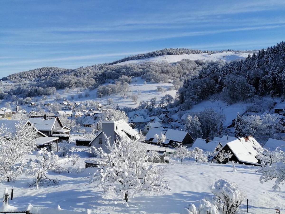 Les Locations De Stephanie ,Gite Le Verger Sondernach Luaran gambar